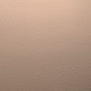 Meet your Posher, Jaleah